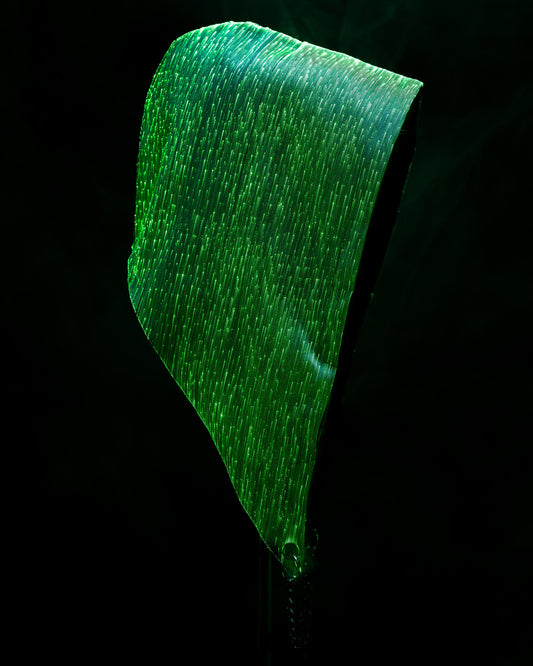 Fiber optic light-up hood illuminated in green light against a dark background
